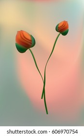 The flowers of red poppy closeup on grey background. Blurred background for greeting card.