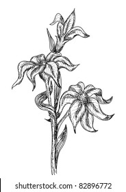 Flowers in retro style