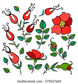 Flowers and rose hips. Isolated vector objects on white background.