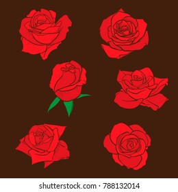 Flowers roses, buds and green leaves. Roses Set collection. rose icon and symbol