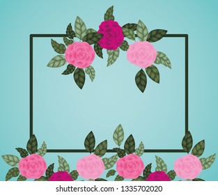 flowers roses decoration square frame