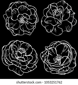 Flowers of roses on black background. Floral pattern. Vector illustration. Perfect for invitation, greeting card, fashion print, banner, poster for textiles, fashion design.