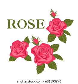 Flowers roses, red buds and green leaves. Isolated on white background. Vector illustration.