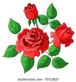 Flowers roses, vector, red buds and green leaves