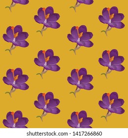 Сrocus flowers (saffron). A seamless pattern with purple crocus flowers (saffron) on yellow background.