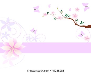 Flowers of sakura at the spring with place for your text. Spring landscape