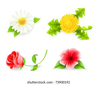 Flowers set, 10eps