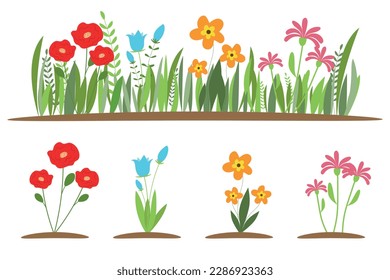 Flores puestas. Conjunto botánico de hierbas de campo y praderas con hojas. Ilustración de vectores planos botánicos de la flora estival tierna aislada sobre fondo blanco.