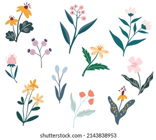 Flowers set. Collection of colorful floral elements in flat color. Set of spring and summer wild flowers, plants, branches, leaves and herb. Vector illustration for decor, website, graphic and shop.