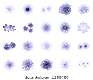 Flowers set. Collection of floral elements