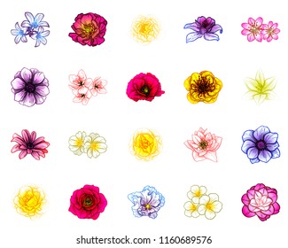Flowers set. Collection of floral elements
