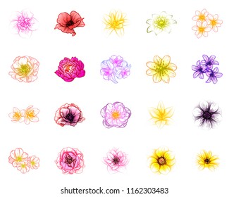 Flowers set. Collection of floral elements