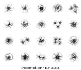 Flowers set. Collection of floral elements