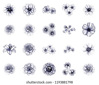 Flowers set. Collection of floral elements