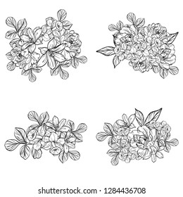 Flowers set. Collection of floral elements