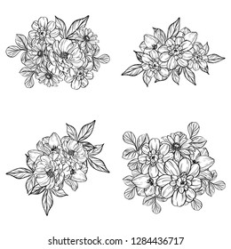 Flowers set. Collection of floral elements