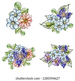 Flowers set. Collection of floral elements