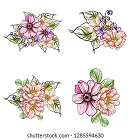 Flowers set. Collection of floral elements