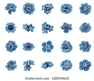 Flowers set. Collection of floral elements
