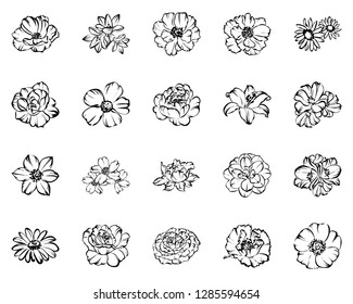 Flowers set. Collection of floral elements