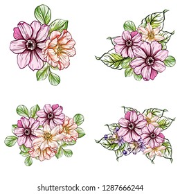 Flowers set. Collection of floral elements