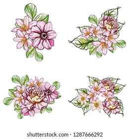 Flowers set. Collection of floral elements