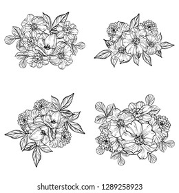 Flowers set. Collection of floral elements