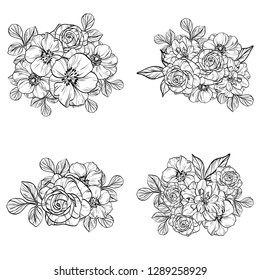 Flowers set. Collection of floral elements