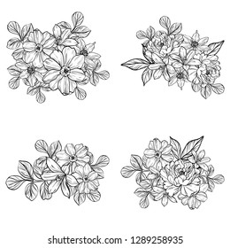 Flowers set. Collection of floral elements