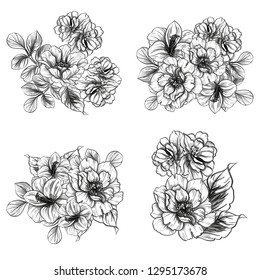 Flowers set. Collection of floral elements