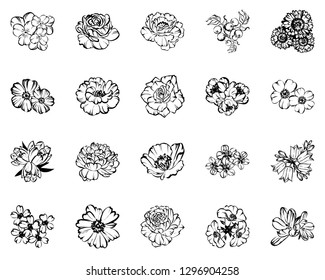 Flowers set. Collection of floral elements
