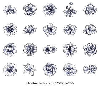 Flowers set. Collection of floral elements