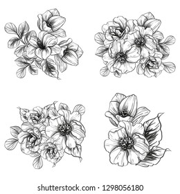 Flowers set. Collection of floral elements