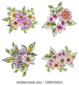 Flowers set. Collection of floral elements