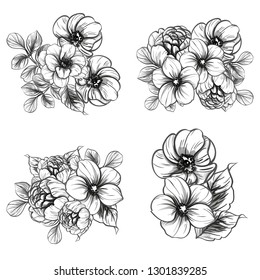 Flowers set. Collection of floral elements