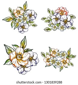 Flowers set. Collection of floral elements