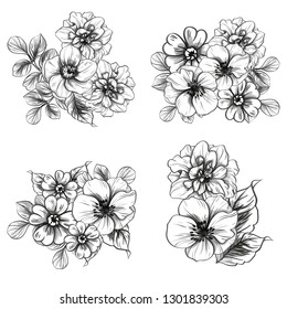 Flowers set. Collection of floral elements