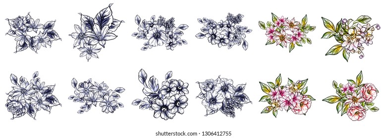 Flowers set. Collection of floral elements