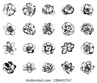 Flowers set. Collection of floral elements