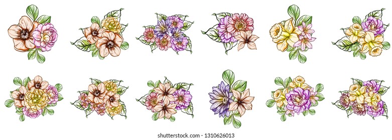 Flowers set. Collection of floral elements