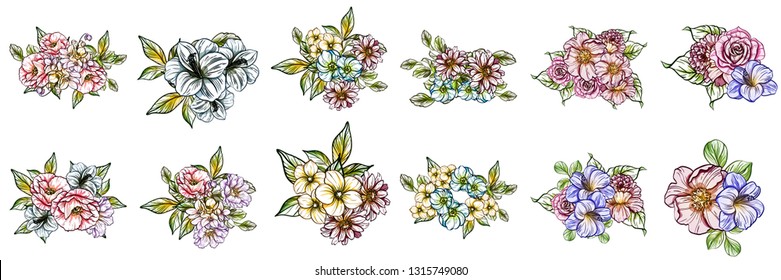 Flowers set. Collection of floral elements