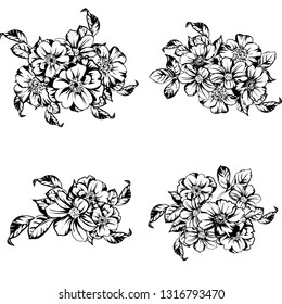 Flowers set. Collection of floral elements