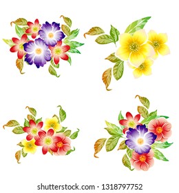 Flowers set. Collection of floral elements