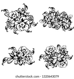 Flowers set. Collection of floral elements
