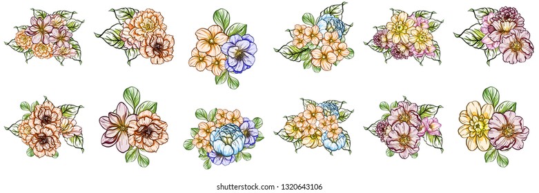 Flowers set. Collection of floral elements