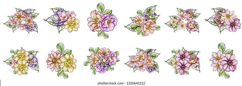Flowers set. Collection of floral elements