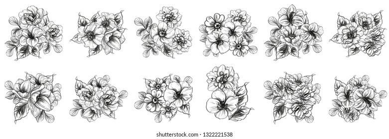 Flowers set. Collection of floral elements