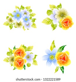 Flowers set. Collection of floral elements