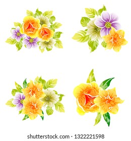 Flowers set. Collection of floral elements