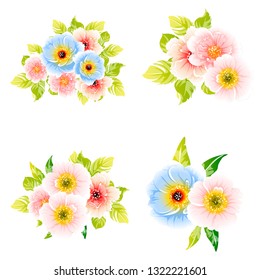 Flowers set. Collection of floral elements